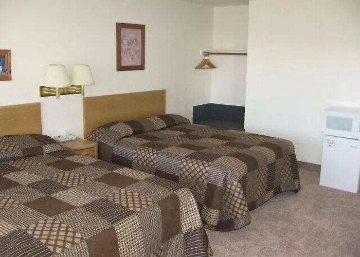 Motel Little Bear